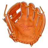 Mizuno Pro MP-10 D-Up Zone 11.25" Infield Glove (Limited Edition July 2024)