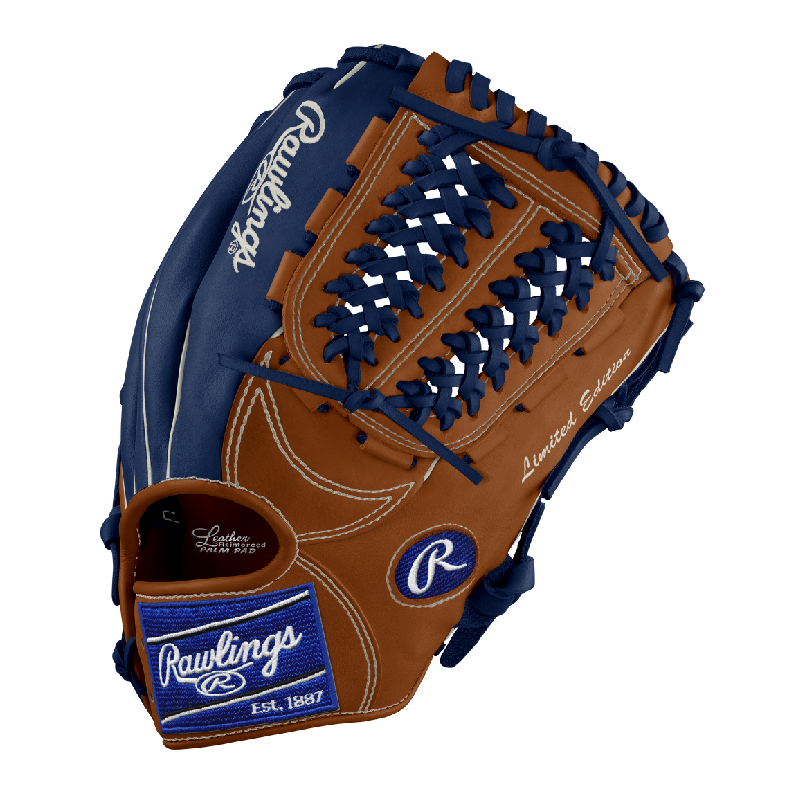 Custom Rawlings Heart of the Hide